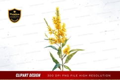 Goldenrod flower clipart png Product Image 1