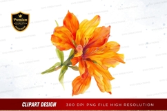 Vibrant orange flower Product Image 1