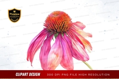 Pink coneflower clipart png Product Image 1