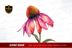 Vibrant coneflower clipart png Product Image 1