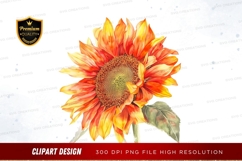 CVibrant sunflower clipart png Product Image 1