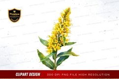 Yellow flower clipart png Product Image 1