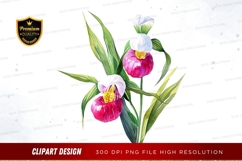 Beautiful pink orchids clipart png Product Image 1