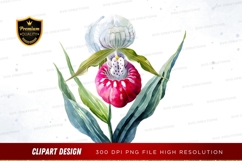 Watercolor orchid flower clipart png Product Image 1