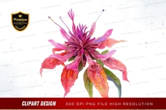 Vibrant flower clipart png Product Image 1