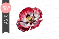Vibrant poppy flower clipart png Product Image 1