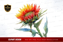Vibrant sunflower clipart png Product Image 1