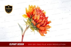 Vibrant orange flower clipart png Product Image 1