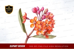Vibrant flower bouquet clipart png Product Image 1