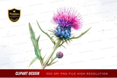 Vibrant thistle flower clipart png Product Image 1