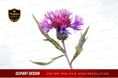 Purple flower clipart png Product Image 1