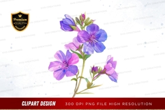 Delicate purple and blue flowers clipart png Product Image 1