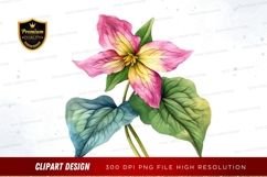 Colorful flower clipart png Product Image 1