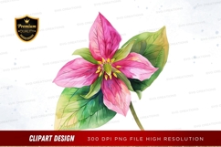 Pink flower with green leaves clipart png Product Image 1
