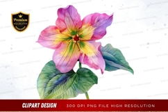 Colorful flower clipart png Product Image 1