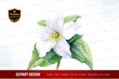 White flower with green leaves clipart png Product Image 1