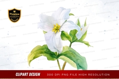 White flower with green leaves clipart png Product Image 1