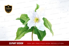 White flower with green leaves clipart png Product Image 1