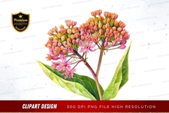 Beautiful flower clipart png Product Image 1