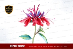 Watercolor flower clipart png Product Image 1