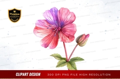 Vibrant pink and purple flower clipart png Product Image 1