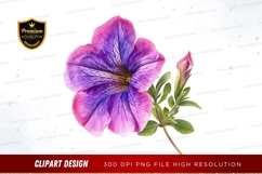 Beautiful petunia flower clipart png Product Image 1