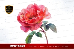 Pink rose clipart png Product Image 1
