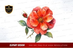 Vibrant rose illustration Product Image 1