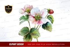 Delicate strawberry blossoms Product Image 1