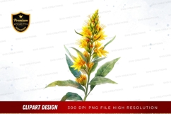 Bright yellow wildflower clipart png Product Image 1