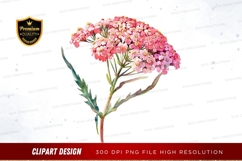 Pink yarrow flower clipart png Product Image 1