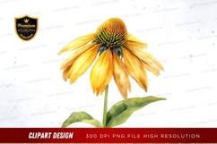 Yellow coneflower clipart png Product Image 1
