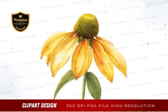 Yellow coneflower clipart png Product Image 1