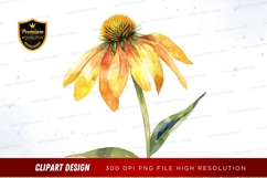 Yellow coneflower clipart png Product Image 1