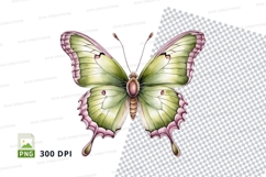 Green butterfly clipart png Product Image 1