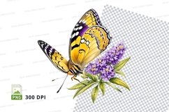 Vibrant butterfly on purple flowers Product Image 1