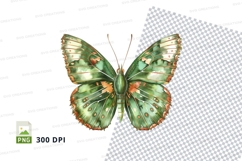 Green butterfly clipart png Product Image 1