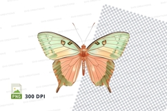 Elegant butterfly clipart png Product Image 1