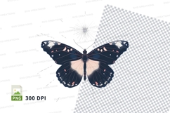 Enchanted butterfly clipart png Product Image 1