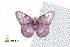 Elegant purple butterfly clipart png Product Image 1