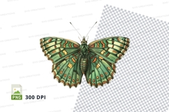Green butterfly clipart png Product Image 1
