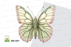 Elegant butterfly clipart png Product Image 1