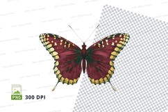 Vibrant butterfly clipart png Product Image 1