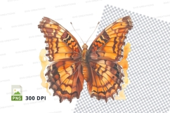 Orange and brown butterfly Product Image 1