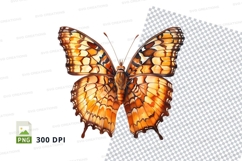 Vibrant orange butterfly clipart png Product Image 1