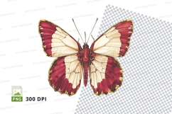 Vibrant red and cream butterfly clipart png Product Image 1