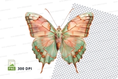 Beautiful butterfly clipart png Product Image 1