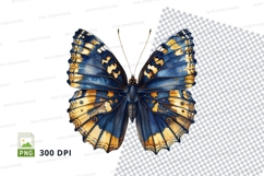 Beautiful blue and gold butterfly Product Image 1