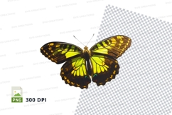 Vibrant butterfly clipart png Product Image 1