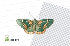 Green and brown moth clipart png Product Image 1